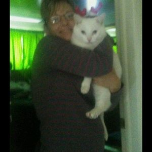 Meet your Posher, Roni